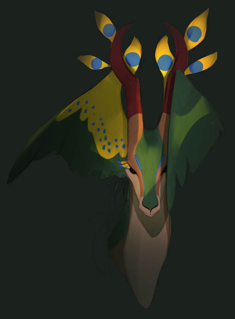 Paontilope domestique