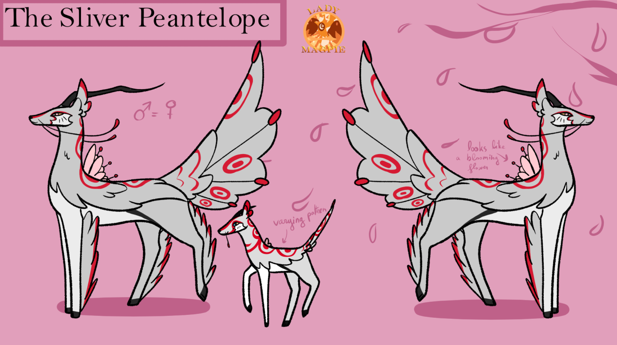 Paontilope à Mèche